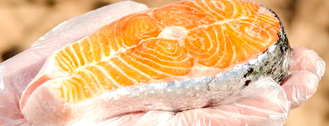 Grilled_salmon_03