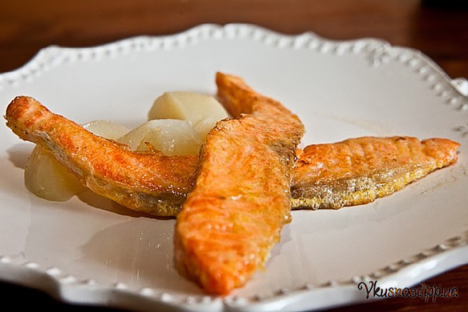 Semga jarenya v yaice fs