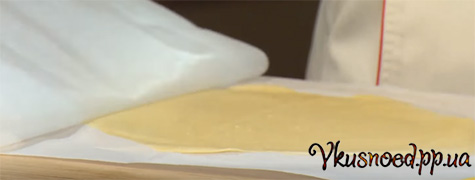 Napoleon s gribami 15