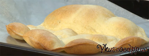 Napoleon s gribami 16