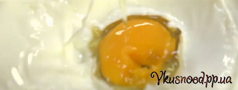 Napoleon s gribami 17