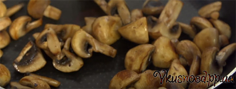 Napoleon s gribami 19